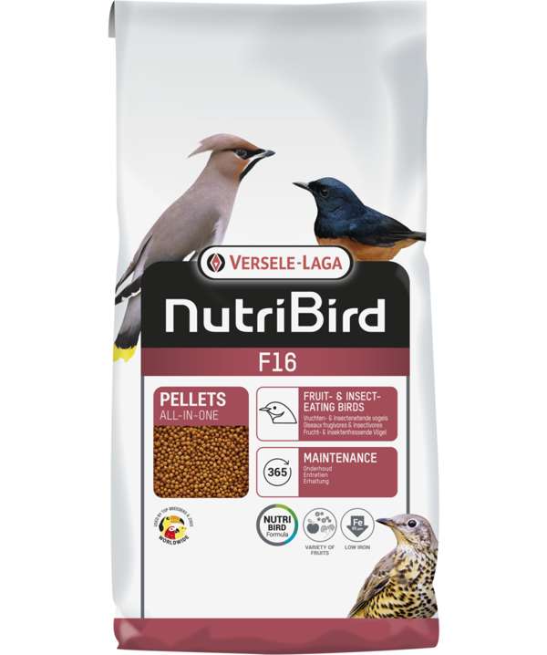 NutriBird Tropical Fruit Patee 1 kg — Global Pigeon Supplies Inc.