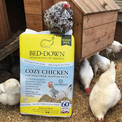 Bed-Down Cozy Chicken 50 Litre