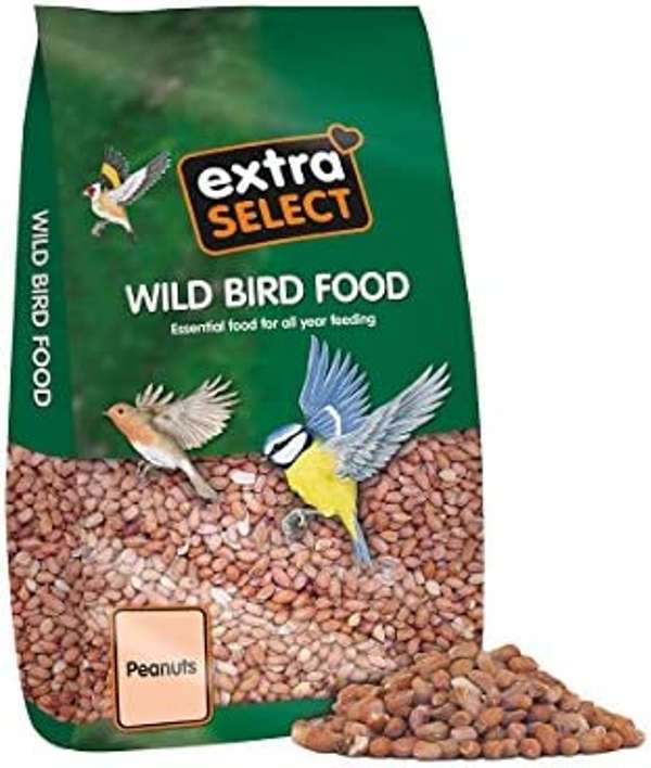 Gjw titmuss hot sale bird food