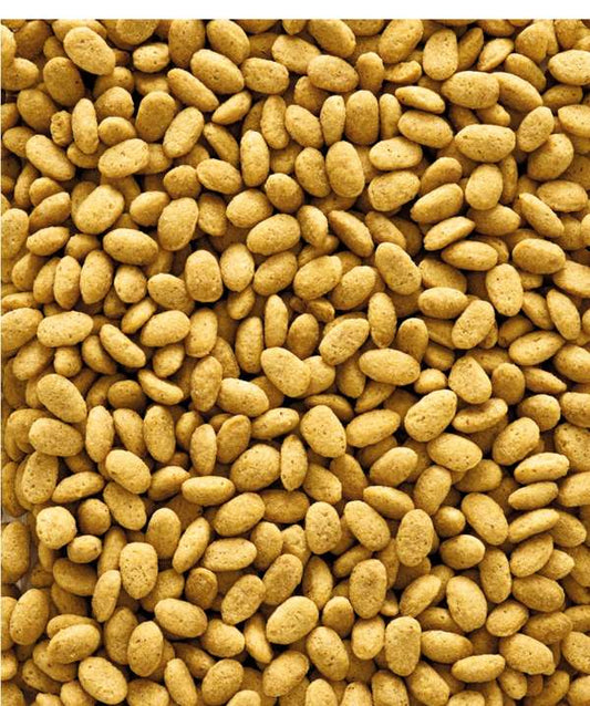 Parrots Nut-free mix 2kg-10kg - Versele-Laga